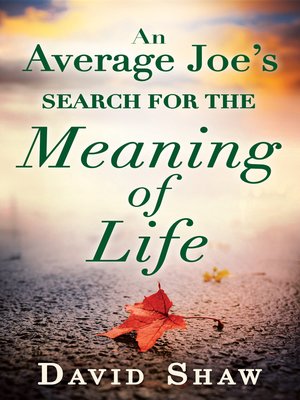 cover image of An Average Joe's Search for the Meaning of Life
